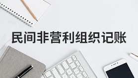 民间非盈利组织记账