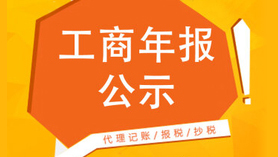 企业工商年报