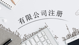 有限公司注册