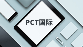 PCT国际